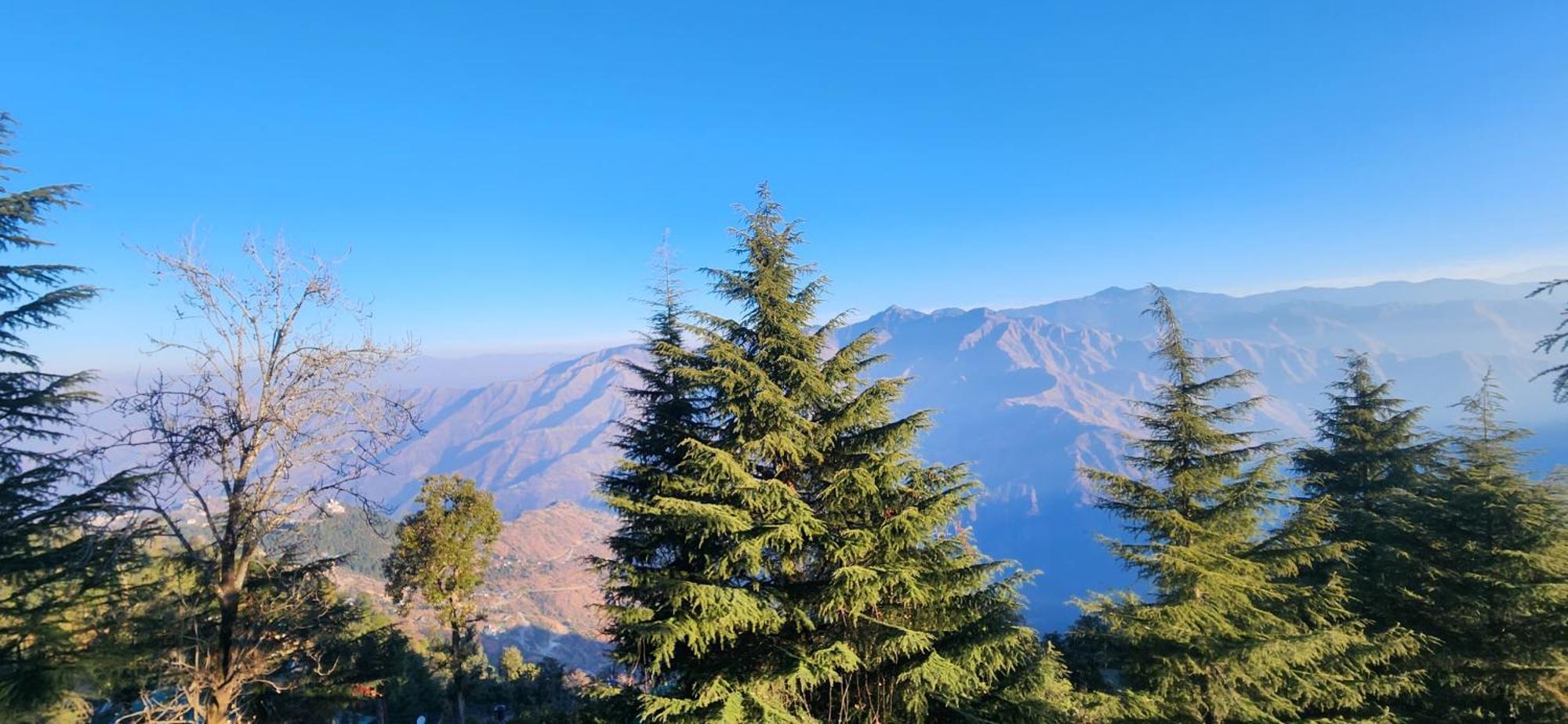 Homestay On Hills