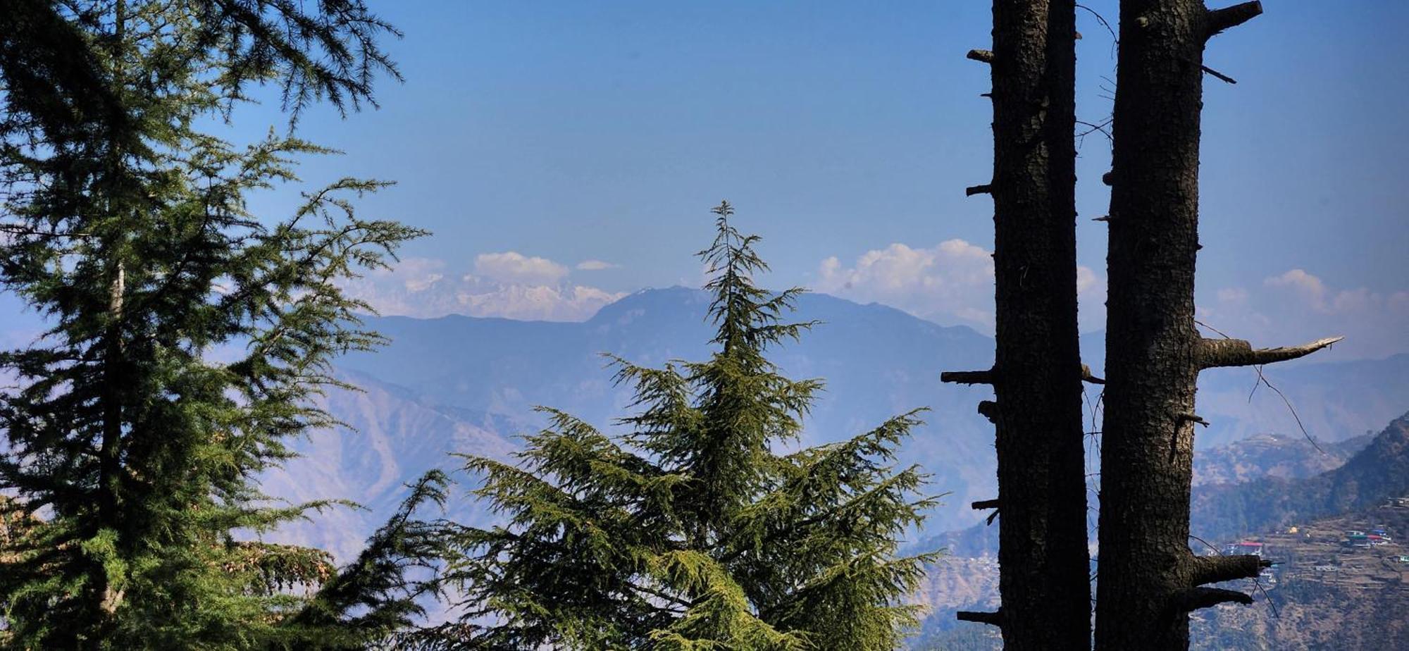 On Hills Homestay Mussoorie